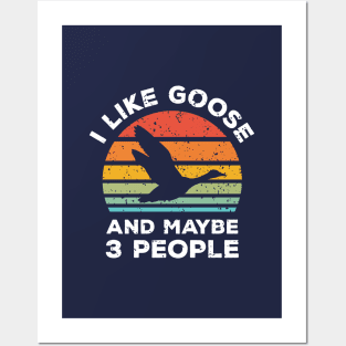 I Like Goose and Maybe 3 People, Retro Vintage Sunset with Style Old Grainy Grunge Texture Posters and Art